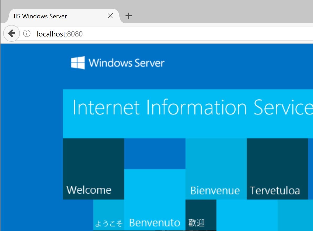 IIS home screen in browser on the host OS
